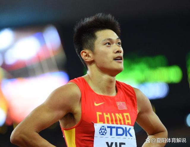 德信官网下载-体育领域新晋明星崭露头角,引发关注