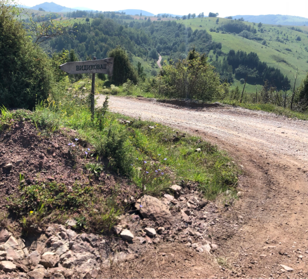 塞尔维亚挑战波黑,备战关键对决 塞尔维亚挑战波黑,备战关键对决