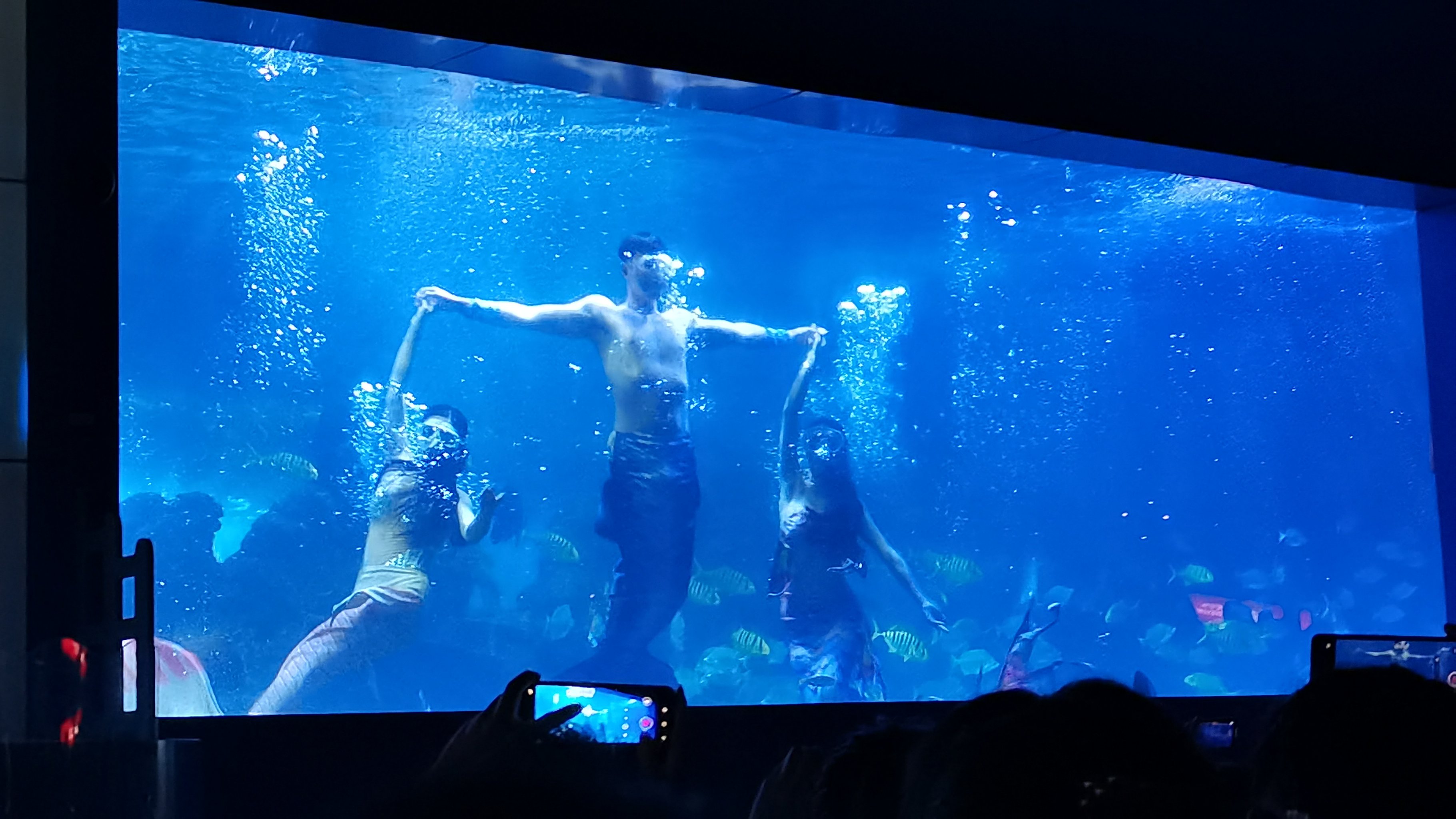 德信体育app下载-里约热内卢队梦幻表演，取得胜利