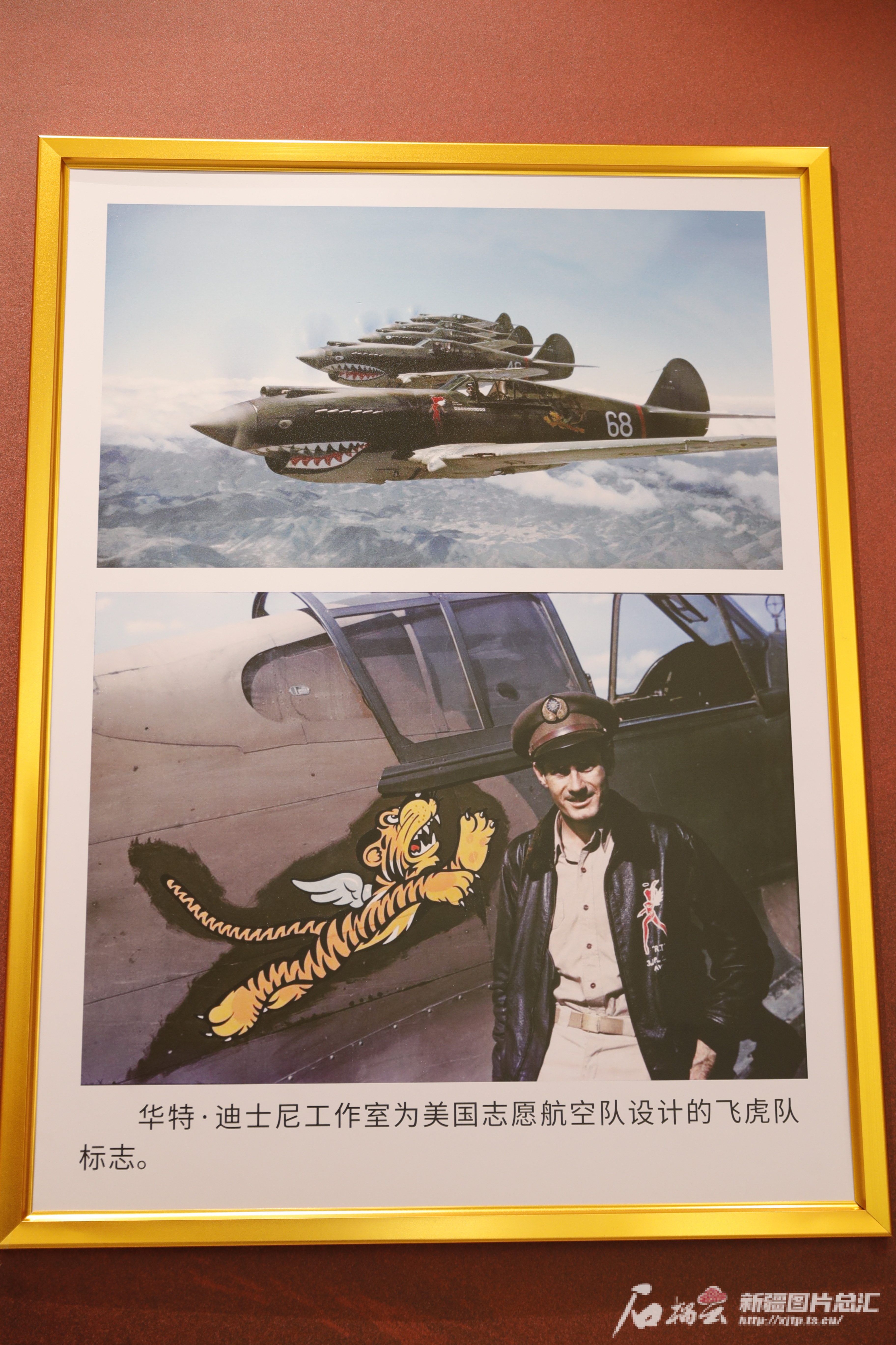 新疆飞虎挑战福建奋斗者,遭遇惨败 新疆飞虎挑战福建奋斗者,遭遇惨败