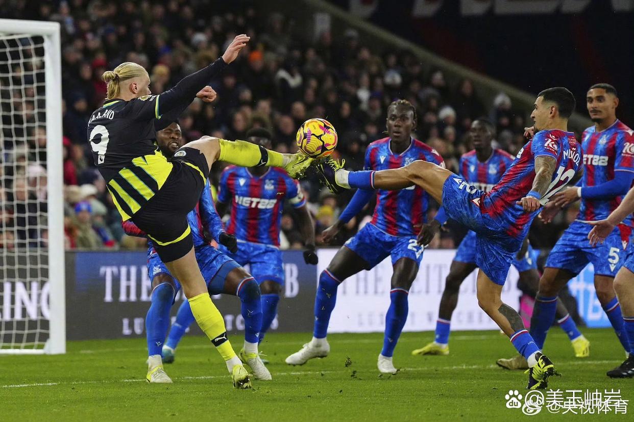 水晶宫后卫出色,守住主场取胜 水晶宫后卫出色,守住主场取胜