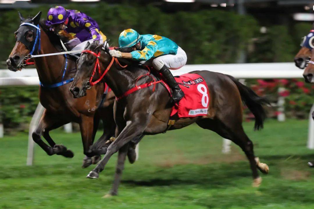 澳大利亚与新西兰进行激烈对决,胜出者晋级! 澳大利亚与新西兰进行激烈对决,胜出者晋级!