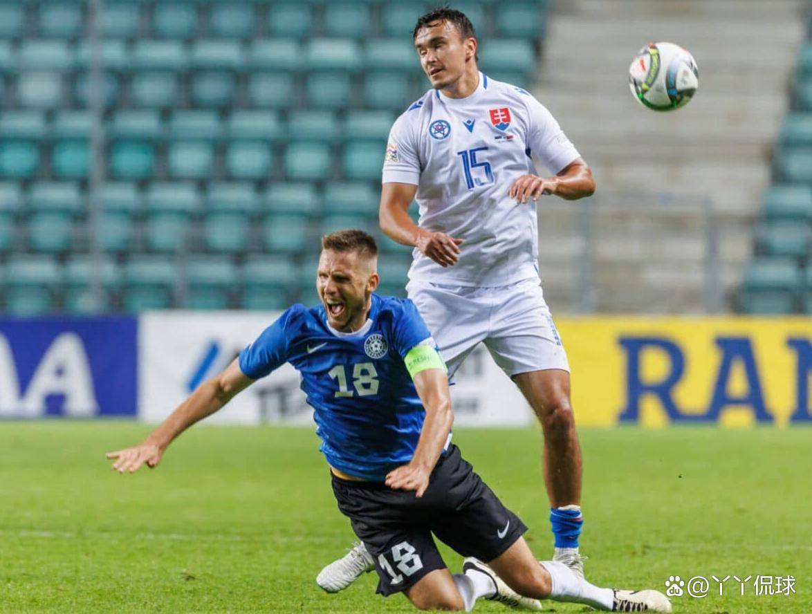 斯洛文尼亚大胜斯洛伐克,小组出线希望犹存 斯洛文尼亚大胜斯洛伐克,小组出线希望犹存