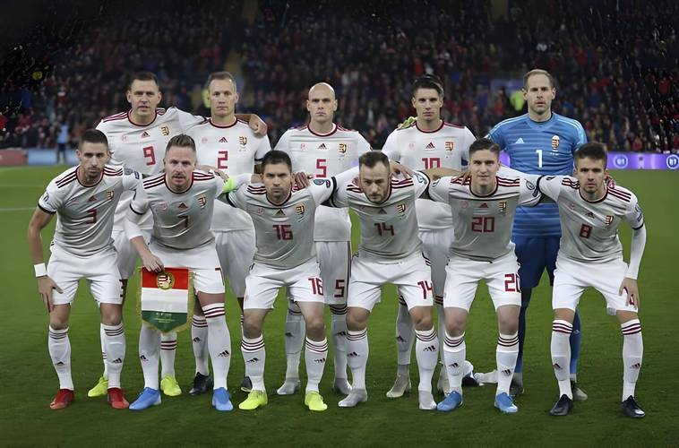 德信app下载-匈牙利队客场0-2不敌威尔士,遭遇失利